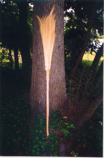 Traditional Broom